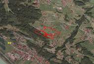 Mehrfamilienhaus mit Landwirtschaft in Bartholomäberg