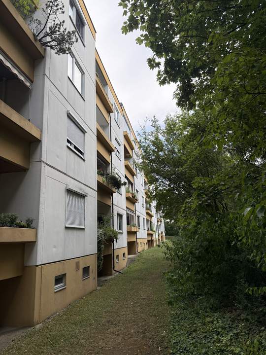 3 Zimmer + Balkon +Parkplatz