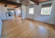 Einzigartige 3-Zimmer-Maisonette mit Garten &amp; Seeblick am Tannberg