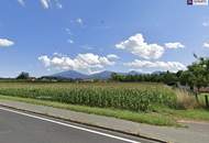 Enormes Potenzial - Bauträger-Grundstück in Wasserhofen, Gemeinde St. Kanzian (Kärnten)