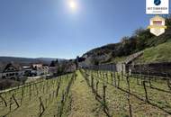 Preissenkung! Förthof: Winzerhaus mit großem Garten und Donaublick