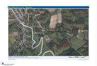 Verwilderter, mit alten Sorten bestückter Obstgarten im Moment als Wald gewidmet RODUNG bewilligt