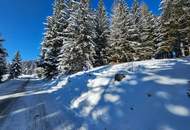 "Rarität im Zirbenland" Grundstück in St. Anna am Lavantegg