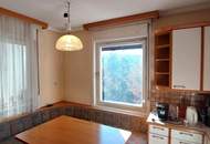 Fernblick 3 Geschoße, über 200m² WNFL + 100m² Lager + 4300m² Eigengrund