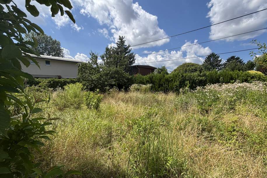 Unbebautes, sonniges Grundstück auf EIGENGRUND in schöner Kleingartenanlage, 1210!, Grund und Boden-kauf, 239.000,€, 1210 Wien 21., Floridsdorf