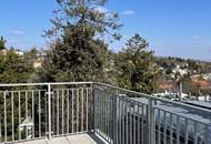 PENTHOUSE LIVING - FIXPREIS - ATEMBERAUBENDER WIENBLICK - 3 RIESEN TERRASSEN - ERSTBEZUG!
