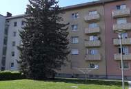 Geld sparen und den Sommer auf Balkonien genießen! Umfassende Sanierungsarbeiten versprechen einen traumhaften Rückzugsort zum Wohlfühlen: geräumiges Wohnzimmer mit Zugang zum sonnigen Balkon, modernes Badezimmer und praktischer Abstellraum!