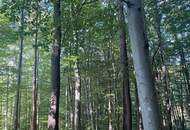 "Exklusive Residenz mit Wald!"