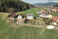 SANIERUNG 2025: Geräumiges Einfamilienhaus mit angeschlossener Kleinlandwirtschaft (Neben- und Stallgebäude) mit ca. 2.700 m² Grund