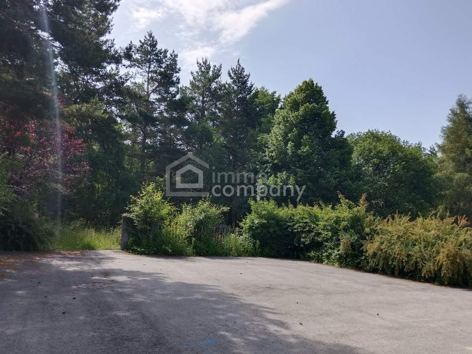 Großes Grundstück mit Waldbestand