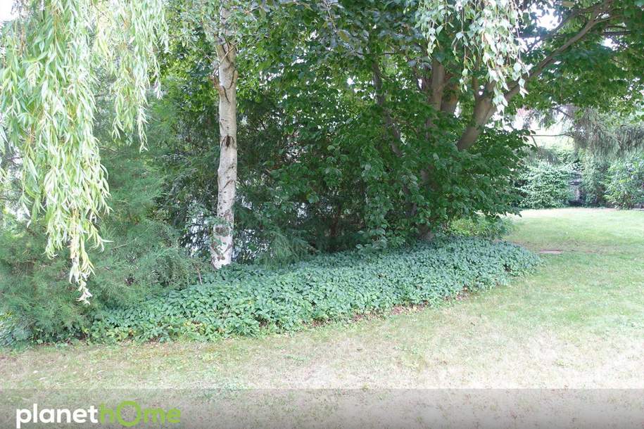 Traumhaftes Grundstück am Küniglberg, Grund und Boden-kauf, 2.150.000,€, 1130 Wien 13., Hietzing