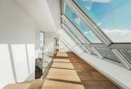 PANORAMA-Ebene über der Stadt! Dachgeschoß-Maisonette mit privater Außenfläche