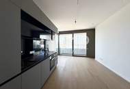 Entzückendes Apartment mit Donau, Kahlenberg, Abendsonne: Gym, Spa, Pool, Lounges, Supermarkt NEW