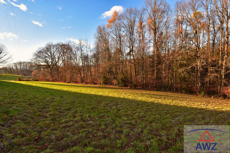 Baugrundstück mit landwirtschaflicher Nutzfläche!, Grund und Boden-kauf, 8010 Graz-Umgebung