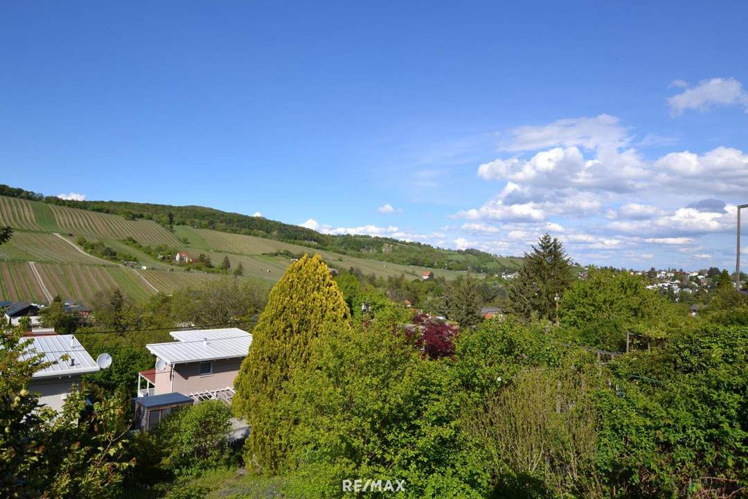 Ruhige Grünlage mit Weinbergblick – Pachtgrundstück mit Sommerhäuschen & Neubau-Möglichkeit!