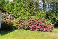 Bungalow mit Donaublick