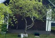 Einfamilienhaus in traumhafter Aussichtslage am Radsberg