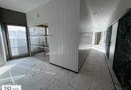 Möbliert, Pool, Sauna, Fitness in den DANUBEFLATS wohnen mit Luxusausstattung und phantastischem Ausblick