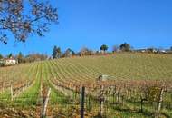 NEUWALDEGGER BESTLAGE - 51 m² Wohnung - sanierungsbedürftig