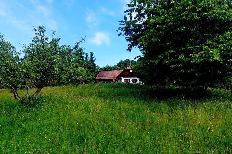 Nähe Jennersdorf: Absolute Einzellage mit einzigartigem Fernblick, 1,6 ha, Haus-kauf, 260.000,€, 7561 Jennersdorf