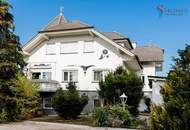 Außergewöhnliches Mehrfamilienhaus mit 331 m² WFL, Balkon, Loggia & 4 Garagen, Pool und Gartenhaus