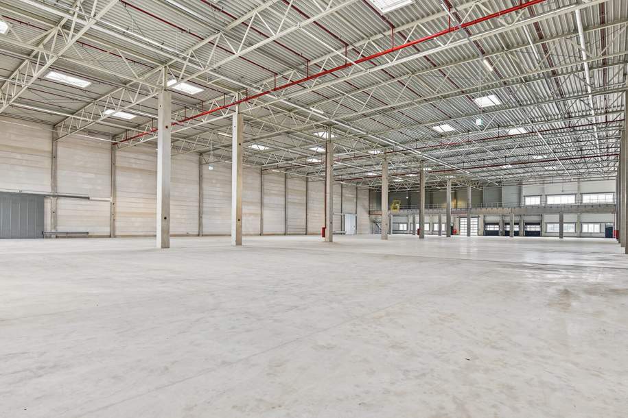 Kombination Lager 4469 m2 inklusive Büro 232 m2 südlich von Wien, Gewerbeobjekt-miete, 31.283,00,€, 2542 Baden