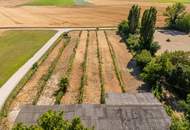 "Großzügiges Grundstück mit Pferdehof und sanierungsbedürftigem Haus – nur Minuten von Wien entfernt"