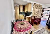 IHR RÜCKZUGSORT AN DER ALTEN DONAU - CHARMANTES HAUS AUF EIGENGRUND