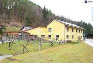 Kurze Vermietung am Fuße der Soboth: 666 m² mit großem Potenzial – Kreativer Umbau für Ihre erfolgreiche Airbnb- oder Booking-Vermietung!