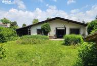 Sommer am Neufeldersee