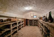 "Zeitlose Eleganz in Berndorf – Villa mit Parkgarten & Pool - neue Heizanlage ab Frühjahr 2026!!!"