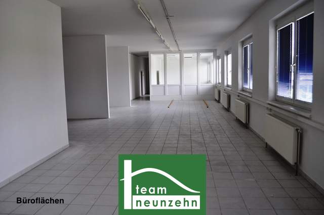 Büro, Geschäft, Werkstatt, Lager! Industriegelände Donnerskirchen! ab 10 m² ab 50€ Netto/Monat! - JETZT ZUSCHLAGEN