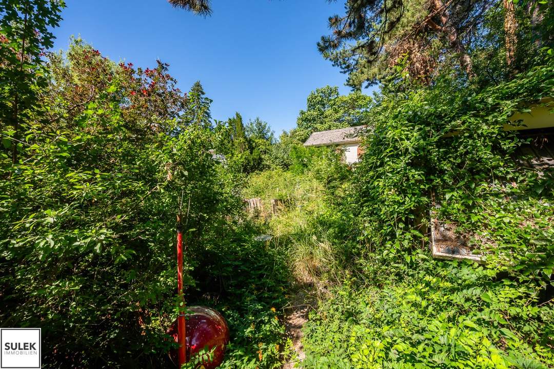 Rodaun: ca. 591 m² Grundstück mit Altbestand in begehrter Grünlage