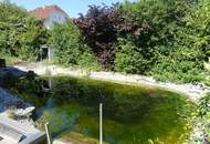 Wohnhaus in Siedlungsrandlage fast im Grünen mit Hochterrasse und kleinem Schwimmteich