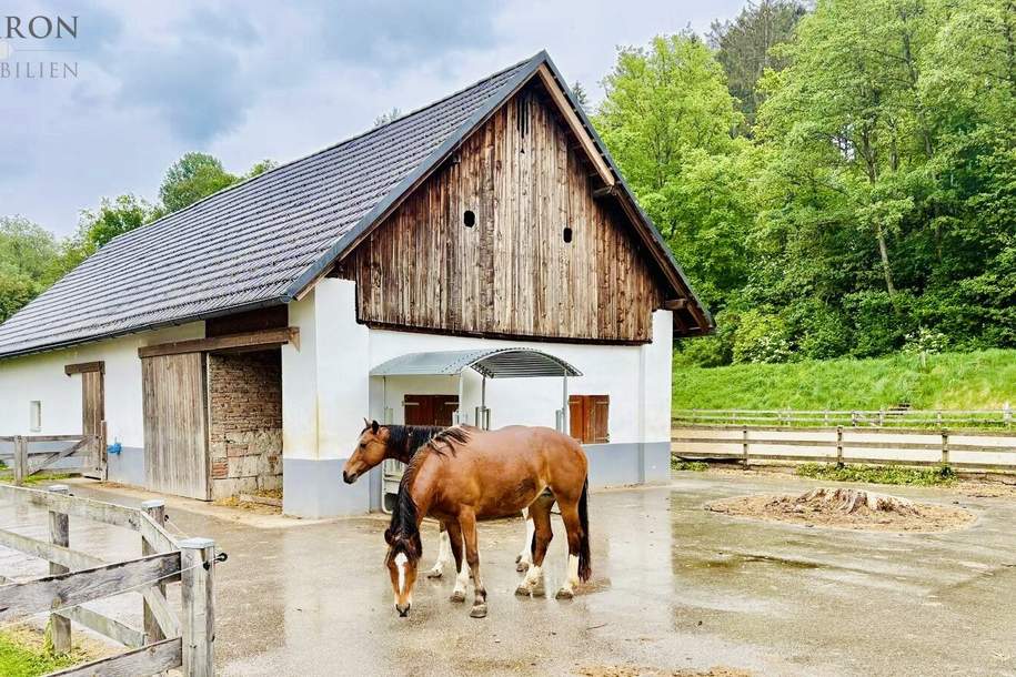 Exklusives Reitanwesen mit 6 Wohneinheiten & Bauland in traumhafter Lage nahe dem Klopeiner See, Haus-kauf, 1.320.000,€, 9122 Völkermarkt