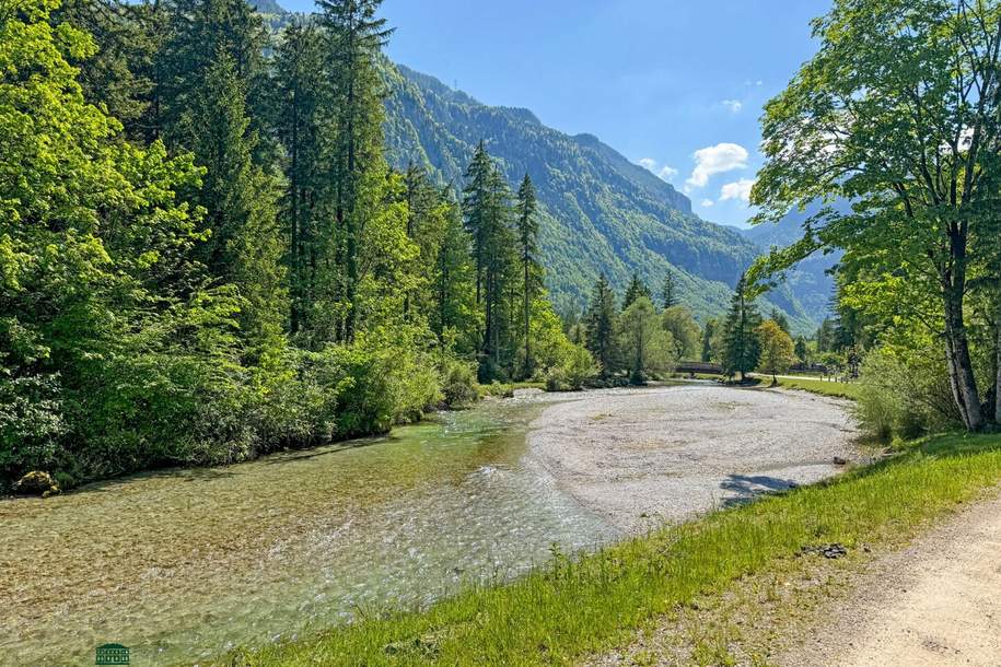 Baugrundstück in Naturparadies - Wohnen wo andere Urlaub machen, Grund und Boden-kauf, 730.000,€, 5440 Hallein