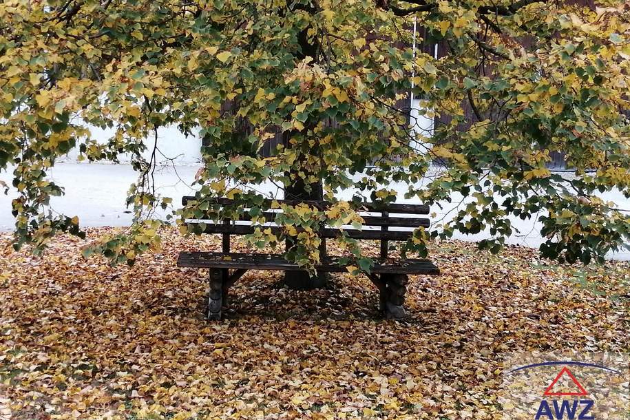 Mehrparteienhaus in zentrumsnaher Lage zum Schnäppchenpreis!, Haus-kauf, 4650 Wels-Land