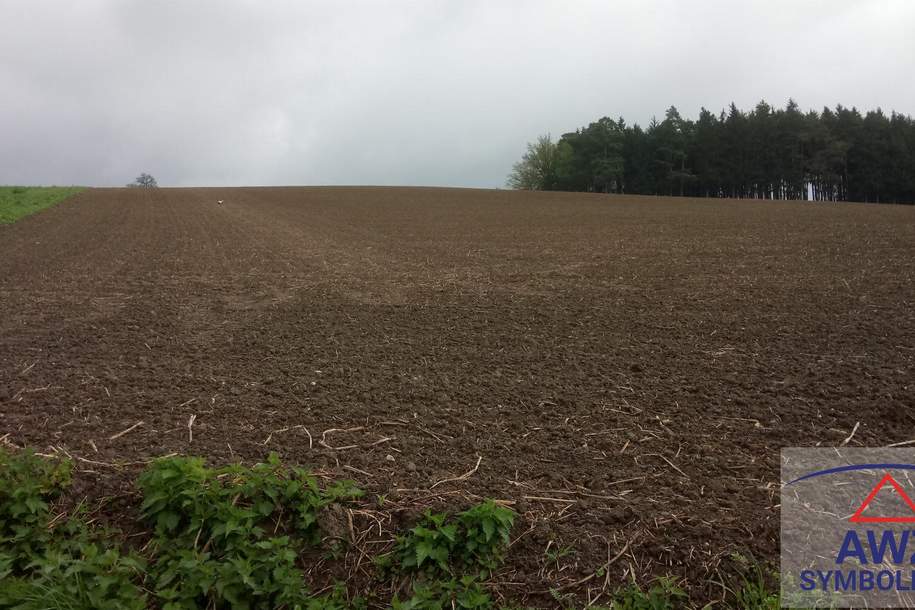 Eventueller PV Standort, Gewerbeobjekt-kauf, 4730 Grieskirchen