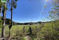 Aus alt mach neu - Historisches Einfamilienhaus in Alleinlage am Hügel in Bad Großpertholz mit großem Garten - JETZT ANFRAGEN