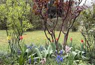 Bungalow mit großem Grundstück inmitten der Wachau