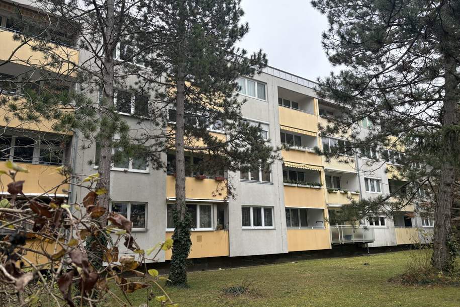 2-Zi-Wohnung in der Südstadt mit Loggia ins Grüne!, Wohnung-kauf, 209.000,€, 2344 Mödling