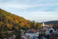 Unglaubliches Erholungsrefugium I Einzigartiges Jagdhäuschen auf Eigengrund nächst Lainzer Tiergarten!
