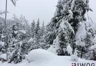 Pension/Gasthof direkt an der Skipiste mit enormen Entwicklungspotenzial