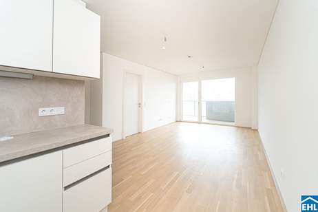 Anleger aufgepasst: Wohnungen in begehrter Wiener Wohnlage, Wohnung-kauf, 275.000,€, 1090 Wien 9., Alsergrund