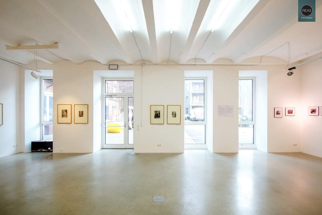 Loft in Hoflage der Brotfabrik Wien!