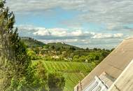 Provisionsfrei: Klimatisiertes Dachgeschoss Maisonette Apartment mit 2 Balkonen in Bestlage von Grinzing!