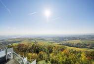 Einzigartiger Blick über Wien! Garconniere mit Terrasse am Kahlenberg