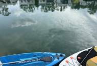 Reihenhaus deluxe: Garten, Badesee, 5 Zimmer Neubau