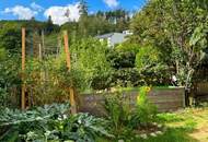 Kleines Paradies zu vermieten - Einfamilienhaus mit separat begehbarer Praxis oder Werkstätte