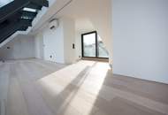 Ein Meisterwerk aus Licht, Raum und Design: Penthouse - Luxury & Lifestyle in the Heart of Vienna: Wassergasse